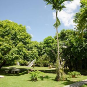 2e0d65ee-b20b-439c-ac98-166fa89814b6