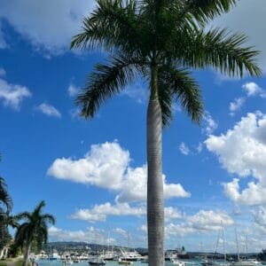 3fae69e7-f4e1-4646-a1f8-817238a32035